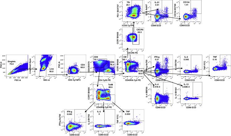 https://cdn.ncbi.nlm.nih.gov/pmc/blobs/6ceb/8947944/17b0701f19e3/figs7_lrg.jpg