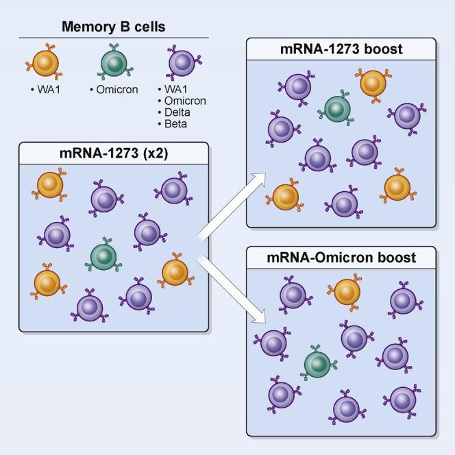 https://cdn.ncbi.nlm.nih.gov/pmc/blobs/6ceb/8947944/3f57e3f3c87a/fx1_lrg.jpg