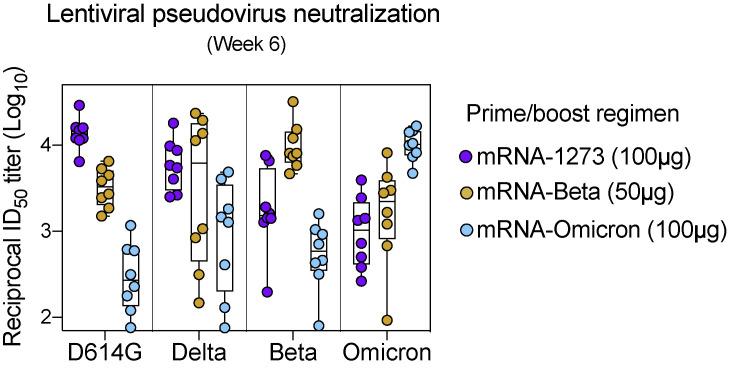 https://cdn.ncbi.nlm.nih.gov/pmc/blobs/6ceb/8947944/90254aa33c2a/figs6_lrg.jpg