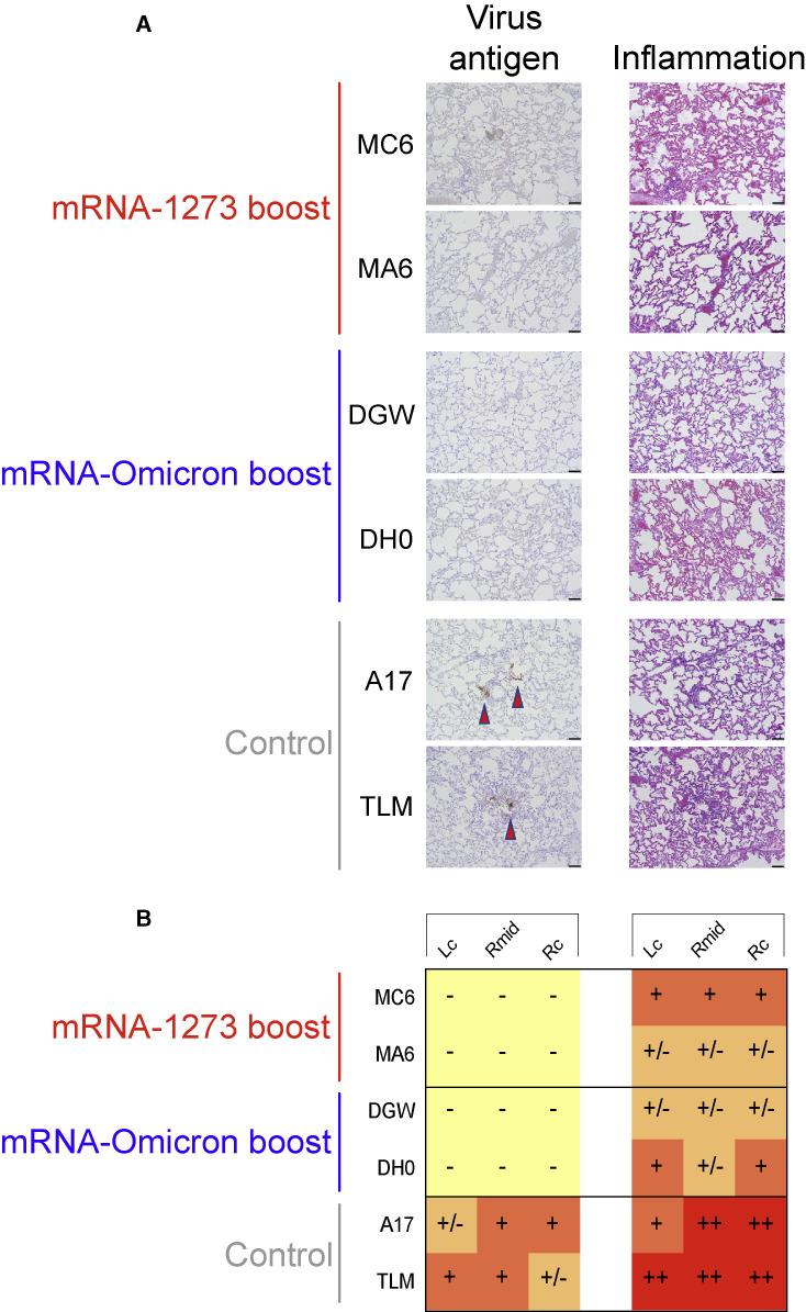 https://cdn.ncbi.nlm.nih.gov/pmc/blobs/6ceb/8947944/b871e957ebd7/gr6_lrg.jpg