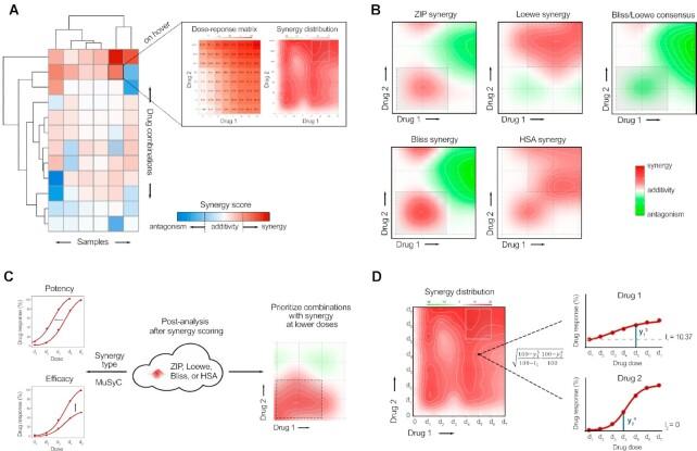 https://cdn.ncbi.nlm.nih.gov/pmc/blobs/6ceb/9252834/731677d92608/gkac382fig1.jpg