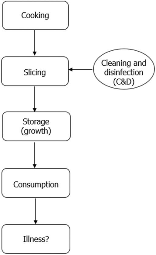 https://cdn.ncbi.nlm.nih.gov/pmc/blobs/6cec/10797485/14aa9217df05/EFS2-22-e8521-g012.jpg