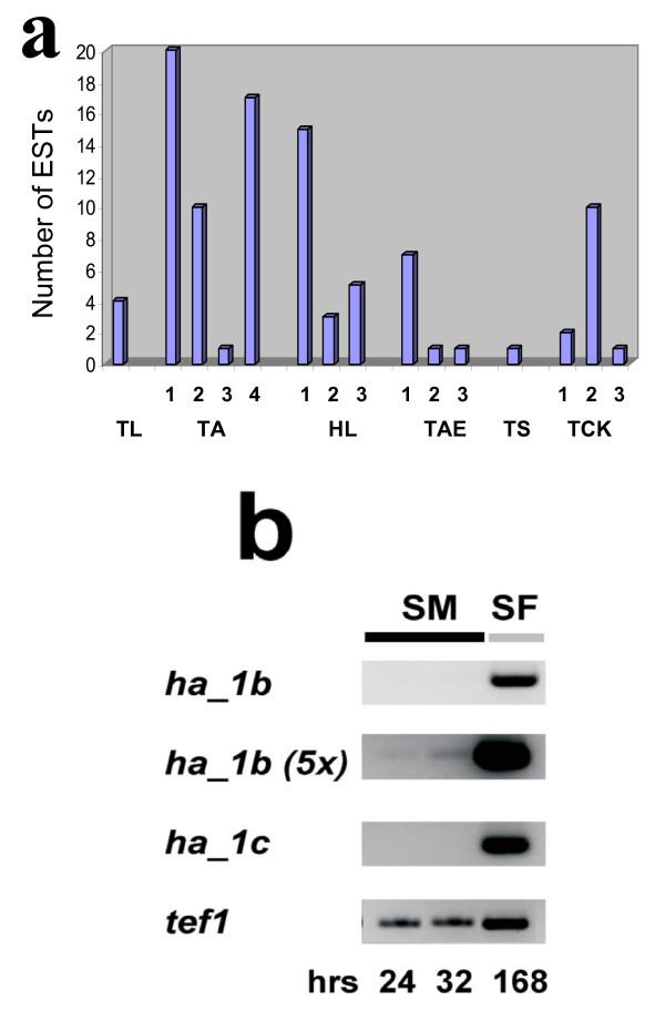 https://cdn.ncbi.nlm.nih.gov/pmc/blobs/6cf0/2253510/995e2ea890d7/1471-2148-8-4-7.jpg