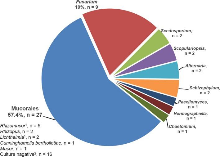 https://cdn.ncbi.nlm.nih.gov/pmc/blobs/6cf2/7065074/b58f3484a11b/MYC-63-257-g001.jpg