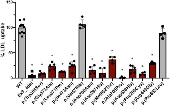https://cdn.ncbi.nlm.nih.gov/pmc/blobs/6cf2/8617597/6c4e5a9c0483/gr5.jpg