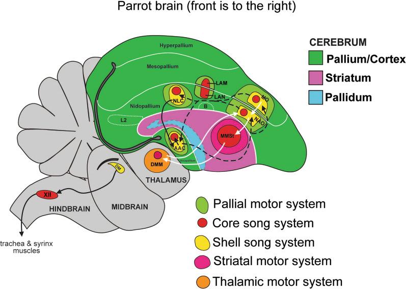 https://cdn.ncbi.nlm.nih.gov/pmc/blobs/6cf3/11539772/00459fde9496/12868_2024_843_Fig2_HTML.jpg