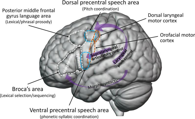 https://cdn.ncbi.nlm.nih.gov/pmc/blobs/6cf3/11539772/18c57626bd2e/12868_2024_843_Fig3_HTML.jpg