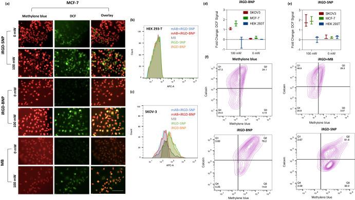 https://cdn.ncbi.nlm.nih.gov/pmc/blobs/6cf3/12118722/0c11b87a99da/44303_2024_8_Fig3_HTML.jpg