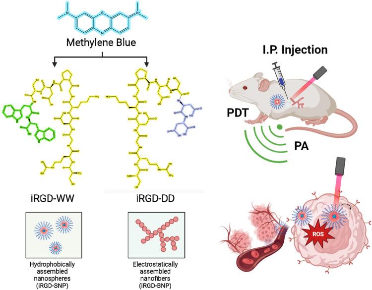 https://cdn.ncbi.nlm.nih.gov/pmc/blobs/6cf3/12118722/ff3ceac381ec/44303_2024_8_Fig1_HTML.jpg