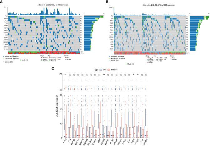 https://cdn.ncbi.nlm.nih.gov/pmc/blobs/6cf5/10063846/c22d890e5d4f/fimmu-14-955949-g006.jpg