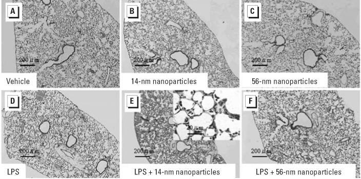 https://cdn.ncbi.nlm.nih.gov/pmc/blobs/6cf5/1570092/faf4cfa44082/ehp0114-001325f1.jpg