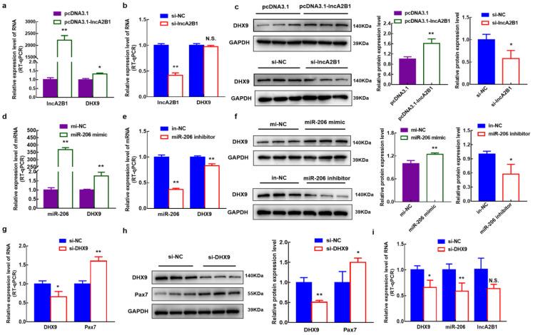 https://cdn.ncbi.nlm.nih.gov/pmc/blobs/6cf6/10093610/0ae73ecdfbff/cells-12-01028-g0A2.jpg