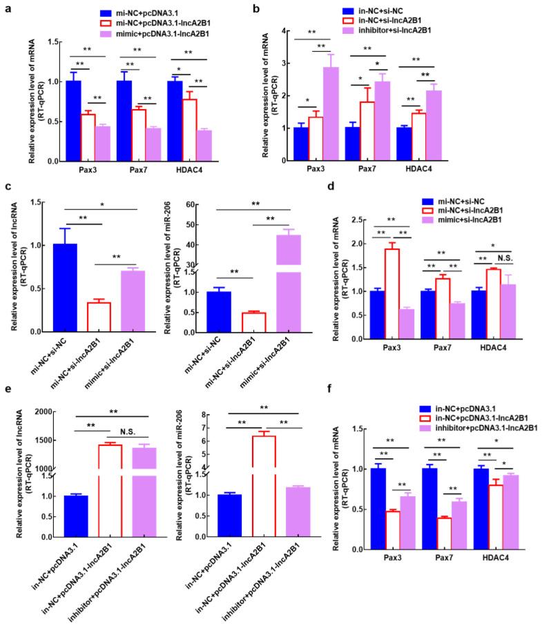 https://cdn.ncbi.nlm.nih.gov/pmc/blobs/6cf6/10093610/58fdc257063c/cells-12-01028-g0A1.jpg