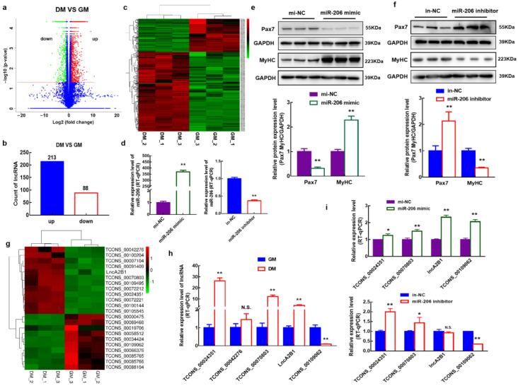 https://cdn.ncbi.nlm.nih.gov/pmc/blobs/6cf6/10093610/77107d594f85/cells-12-01028-g001.jpg