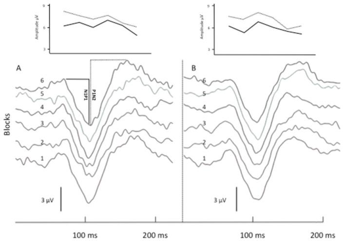 https://cdn.ncbi.nlm.nih.gov/pmc/blobs/6cf7/10886990/30cea70df6bc/biomedicines-12-00288-g002.jpg