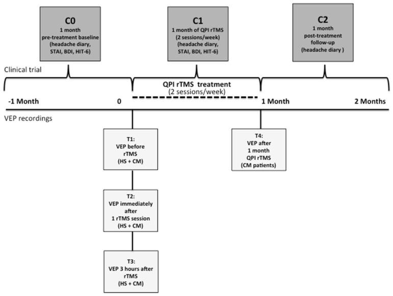https://cdn.ncbi.nlm.nih.gov/pmc/blobs/6cf7/10886990/b75db1202299/biomedicines-12-00288-g001.jpg