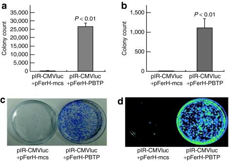 https://cdn.ncbi.nlm.nih.gov/pmc/blobs/6cfc/2862518/808568843289/mt2009302f2.jpg