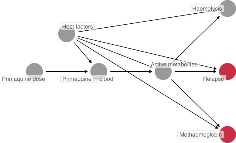 https://cdn.ncbi.nlm.nih.gov/pmc/blobs/6cfd/11469483/dcbff06f3f3c/pmed.1004411.g001.jpg