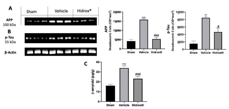 https://cdn.ncbi.nlm.nih.gov/pmc/blobs/6cff/8161307/610d6f89fcfe/antioxidants-10-00818-g005.jpg