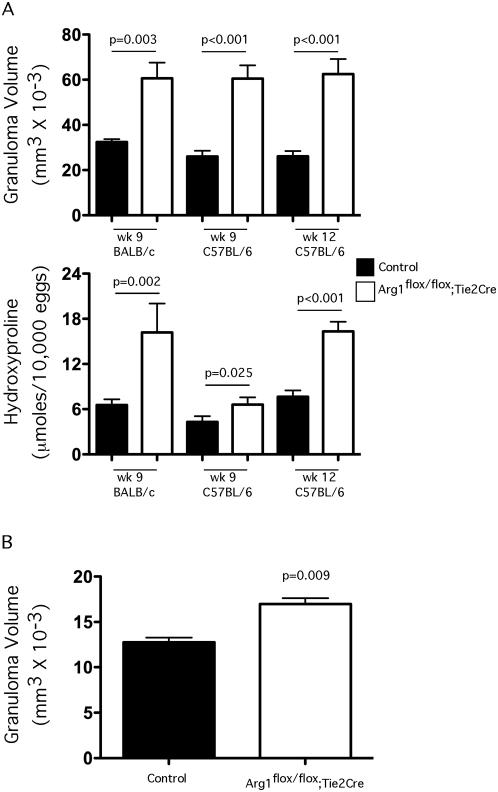 https://cdn.ncbi.nlm.nih.gov/pmc/blobs/6d03/2660425/bab39ce8855c/ppat.1000371.g004.jpg