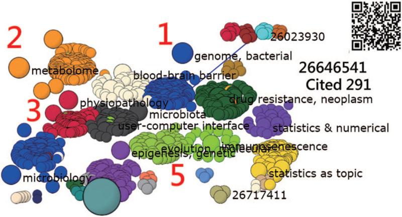 https://cdn.ncbi.nlm.nih.gov/pmc/blobs/6d04/7969266/8e544611a846/medi-100-e25016-g004.jpg