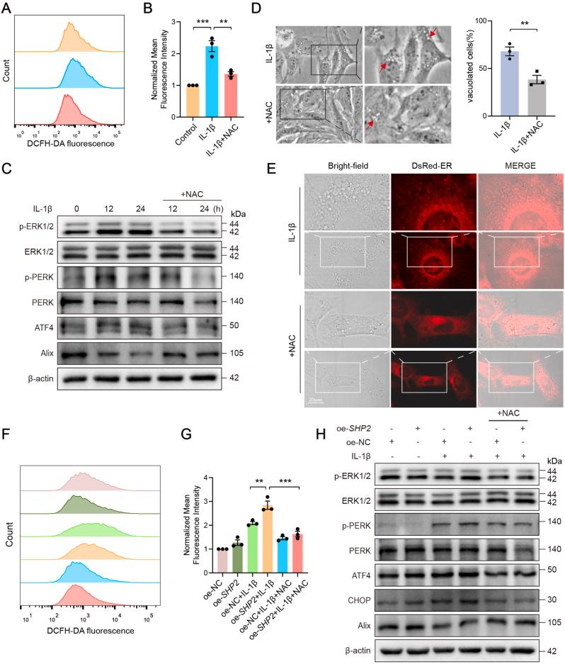 https://cdn.ncbi.nlm.nih.gov/pmc/blobs/6d05/12056802/1d3e7e6c5bde/gr5.jpg