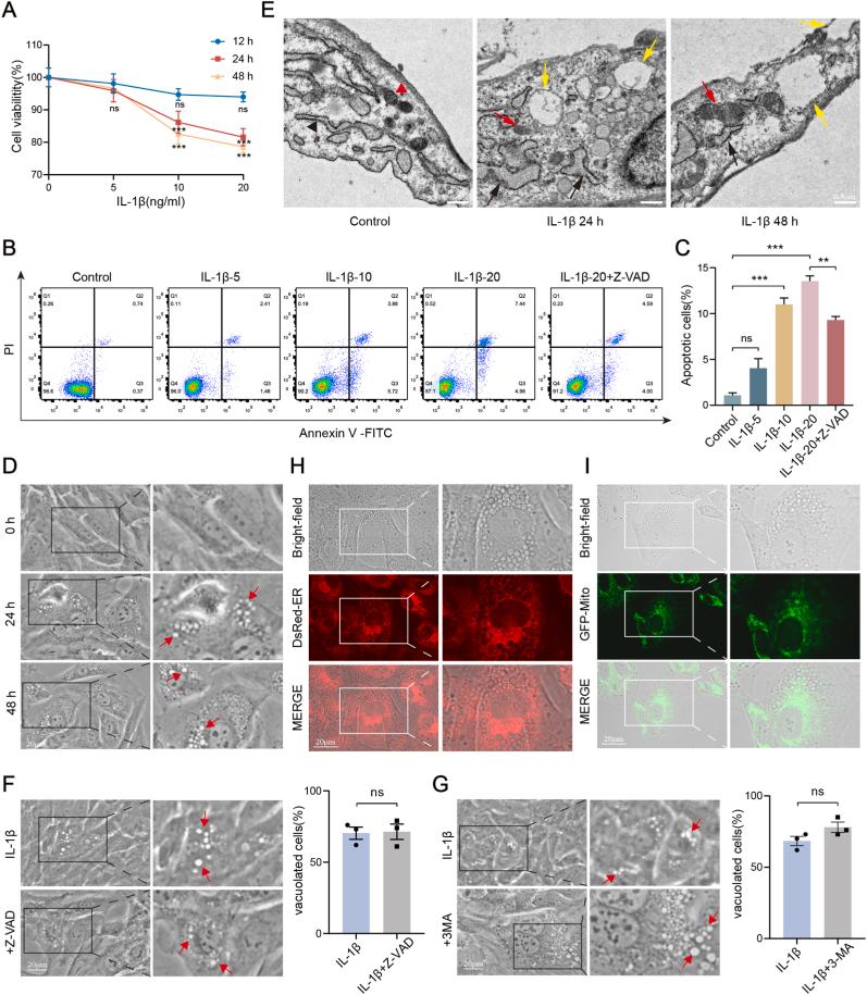 https://cdn.ncbi.nlm.nih.gov/pmc/blobs/6d05/12056802/388b9e554b61/gr1.jpg
