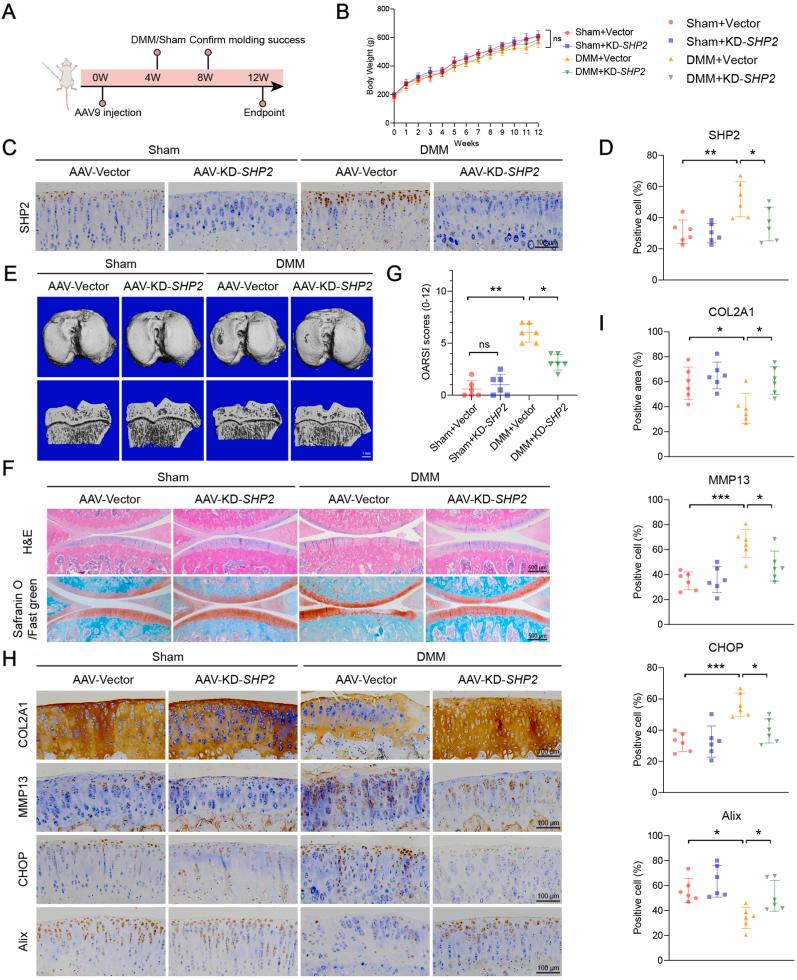 https://cdn.ncbi.nlm.nih.gov/pmc/blobs/6d05/12056802/4ad59577cc1d/gr6.jpg