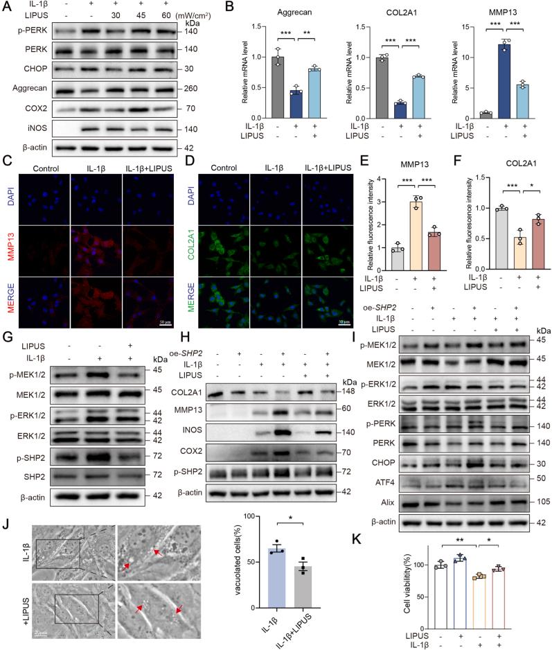 https://cdn.ncbi.nlm.nih.gov/pmc/blobs/6d05/12056802/8bf1de91f364/gr7.jpg