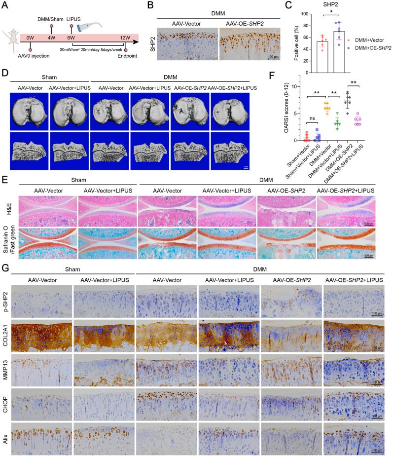 https://cdn.ncbi.nlm.nih.gov/pmc/blobs/6d05/12056802/e72b326a2fc8/gr8.jpg