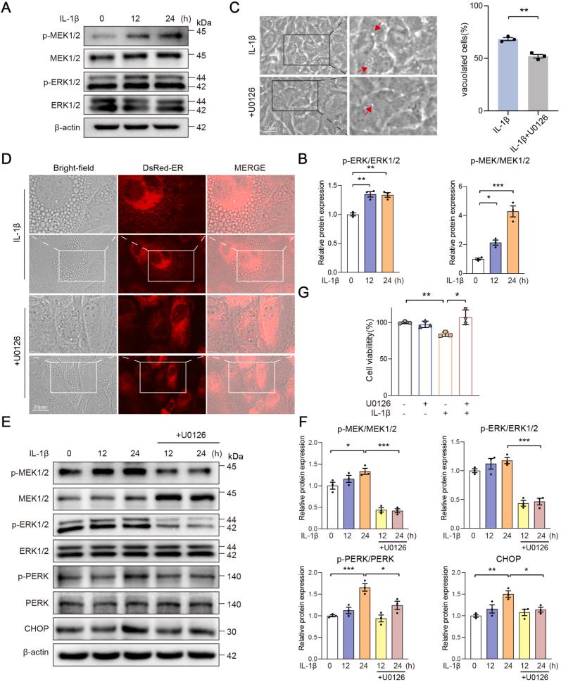 https://cdn.ncbi.nlm.nih.gov/pmc/blobs/6d05/12056802/f4e6103d3def/gr3.jpg