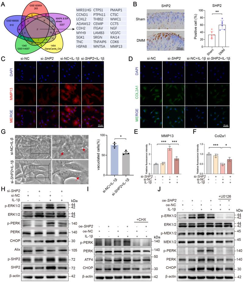 https://cdn.ncbi.nlm.nih.gov/pmc/blobs/6d05/12056802/fb0016a164c6/gr4.jpg