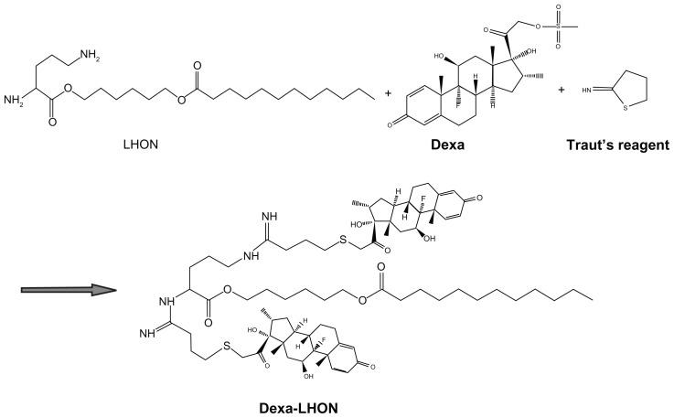 https://cdn.ncbi.nlm.nih.gov/pmc/blobs/6d06/3367492/9bc228837a03/ijn-7-2513f1.jpg