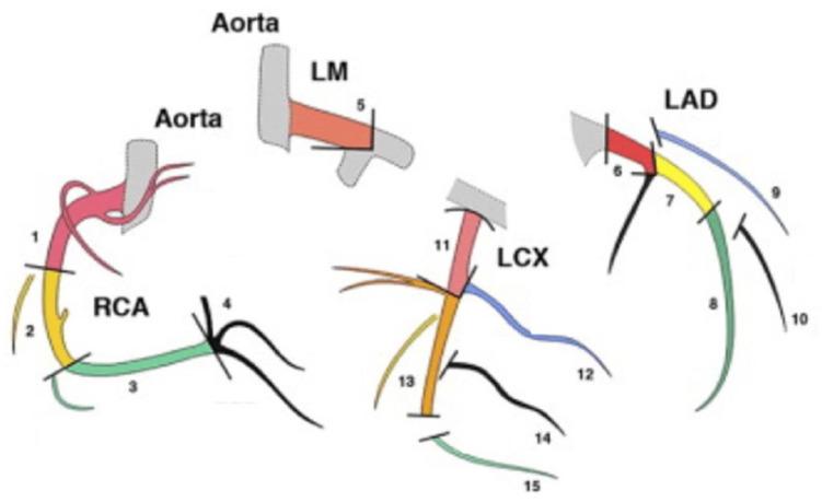 https://cdn.ncbi.nlm.nih.gov/pmc/blobs/6d07/10380516/96494d3a2150/jcdd-10-00299-g001.jpg
