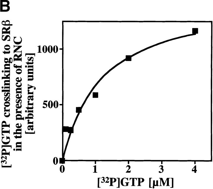 https://cdn.ncbi.nlm.nih.gov/pmc/blobs/6d07/2156146/14793be28c08/JCB9905044.f3b.jpg