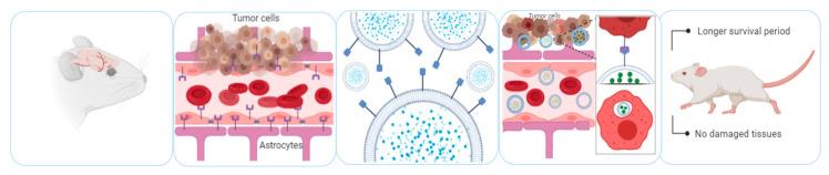 https://cdn.ncbi.nlm.nih.gov/pmc/blobs/6d07/7690579/7122f004b8ff/pharmaceutics-12-01006-g003.jpg