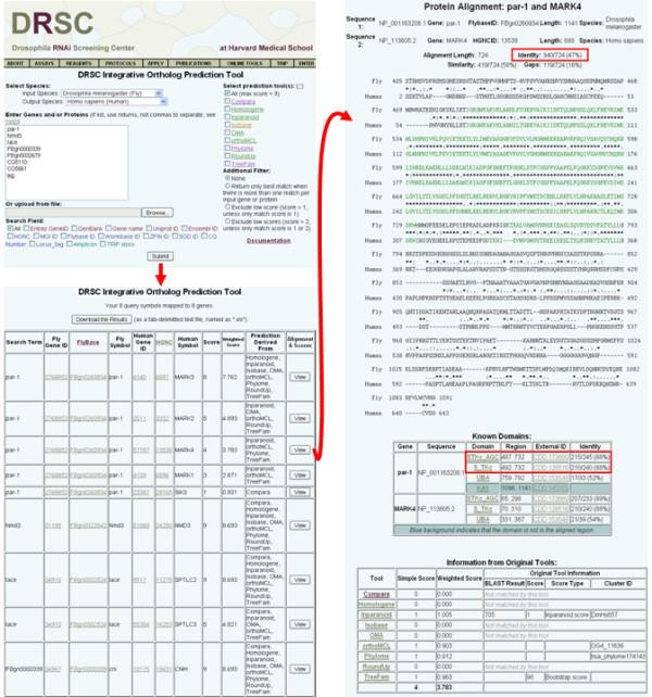 https://cdn.ncbi.nlm.nih.gov/pmc/blobs/6d08/3179972/976f81af2cab/1471-2105-12-357-1.jpg