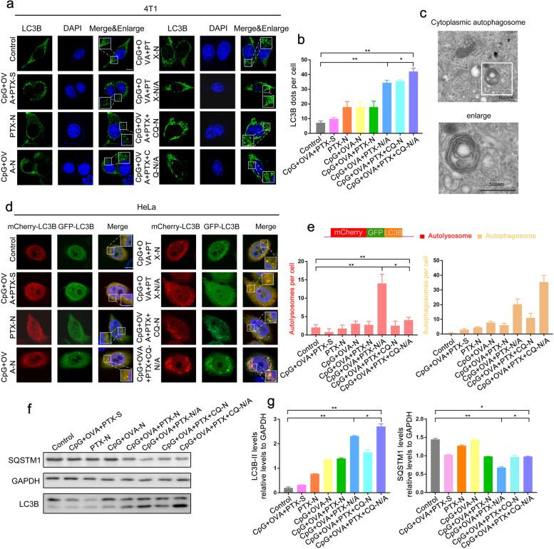 https://cdn.ncbi.nlm.nih.gov/pmc/blobs/6d08/9615197/bc7e65ff1d03/12916_2022_2614_Fig4_HTML.jpg