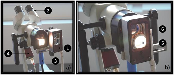 https://cdn.ncbi.nlm.nih.gov/pmc/blobs/6d0d/5453972/f16449d0de26/41598_2017_2645_Fig1_HTML.jpg