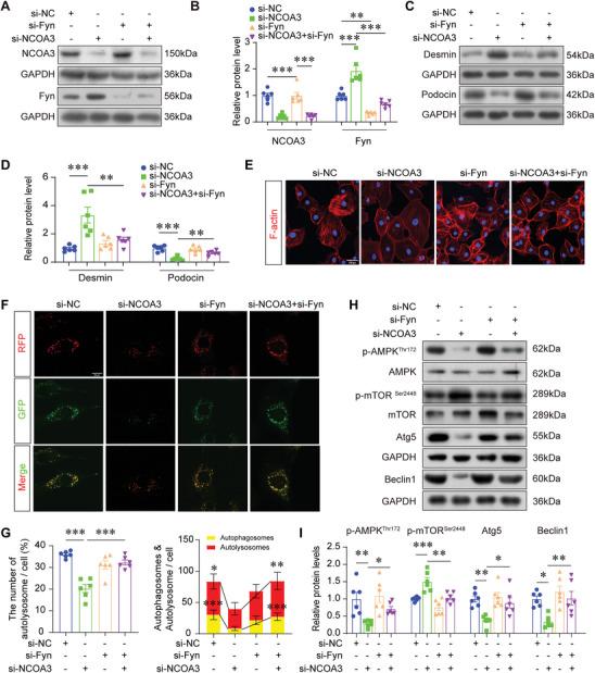 https://cdn.ncbi.nlm.nih.gov/pmc/blobs/6d10/11109634/6997b73650ed/ADVS-11-2308378-g001.jpg