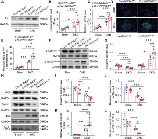 https://cdn.ncbi.nlm.nih.gov/pmc/blobs/6d10/11109634/9c474d129825/ADVS-11-2308378-g008.jpg