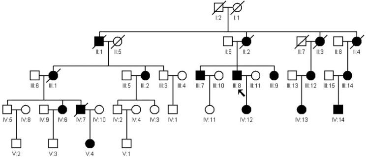 https://cdn.ncbi.nlm.nih.gov/pmc/blobs/6d11/4057249/e950fec89f75/mv-v20-812-f1.jpg