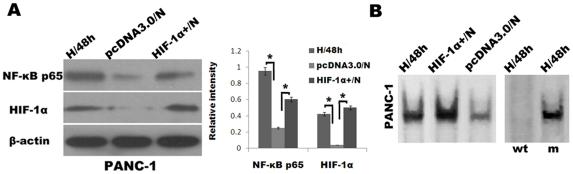 https://cdn.ncbi.nlm.nih.gov/pmc/blobs/6d18/3161785/725ae03316b7/pone.0023752.g005.jpg