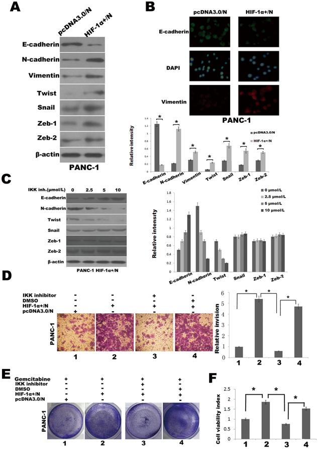https://cdn.ncbi.nlm.nih.gov/pmc/blobs/6d18/3161785/dd22f8d01e5b/pone.0023752.g006.jpg