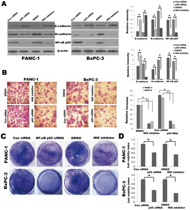 https://cdn.ncbi.nlm.nih.gov/pmc/blobs/6d18/3161785/eeb6f94804fa/pone.0023752.g003.jpg