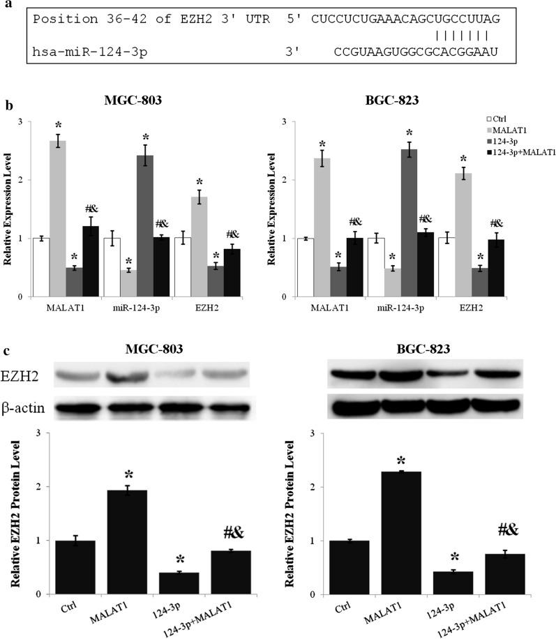 https://cdn.ncbi.nlm.nih.gov/pmc/blobs/6d19/7821405/35e4ba1e3ede/12935_2020_1743_Fig5_HTML.jpg