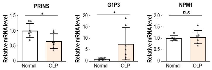 https://cdn.ncbi.nlm.nih.gov/pmc/blobs/6d1a/10669845/55bf7cd06606/biomolecules-13-01646-g004.jpg