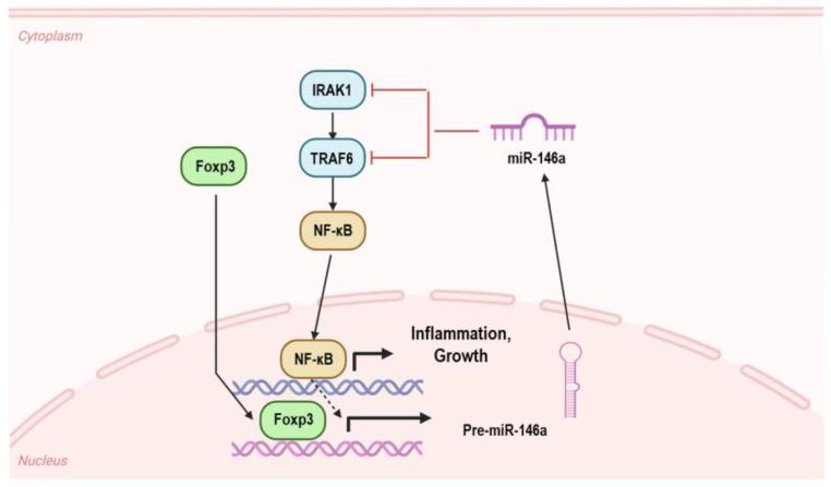 https://cdn.ncbi.nlm.nih.gov/pmc/blobs/6d1a/10669845/8ca20a39034e/biomolecules-13-01646-g002.jpg