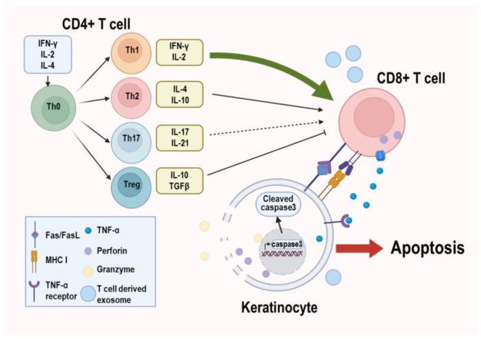 https://cdn.ncbi.nlm.nih.gov/pmc/blobs/6d1a/10669845/f8266e7341dc/biomolecules-13-01646-g001.jpg