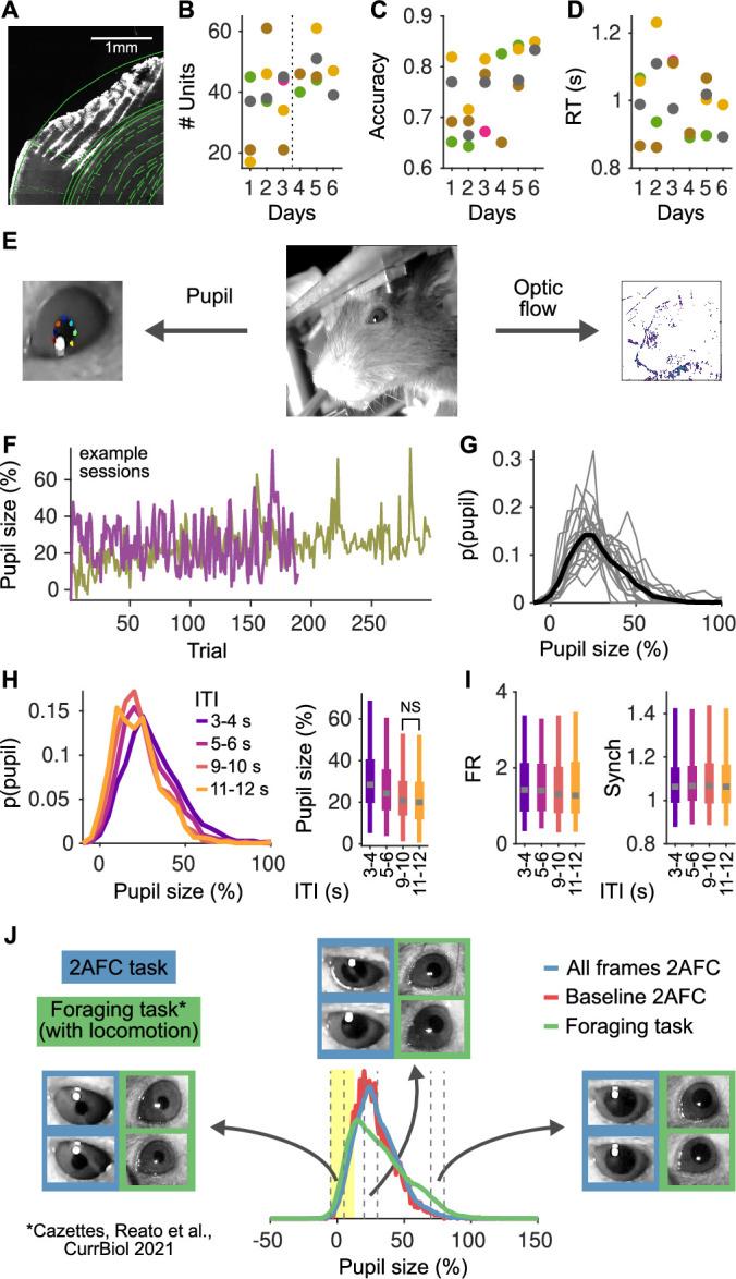 https://cdn.ncbi.nlm.nih.gov/pmc/blobs/6d1c/10241512/516a0b364d06/elife-81774-fig1-figsupp1.jpg